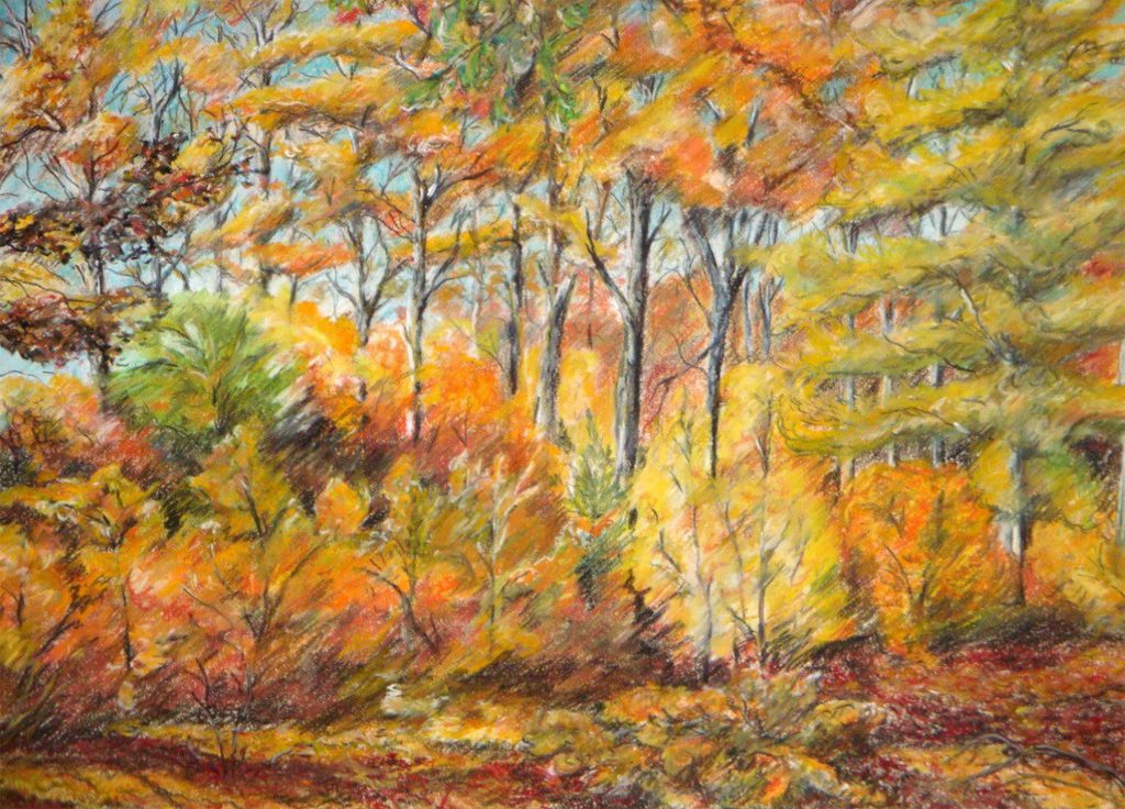 Jens-Uve „Willi“ Wilfert: „Goldener Herbst“, Pastell, 30 x 40